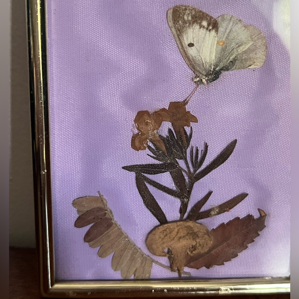 Vintage Tirol Austria Framed Pressed Flowers & Homemade Framed Butterfly 2 Pc - Picture 8 of 13
